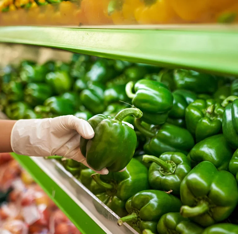 Premium herbal and Ayurvedic ingredients sourced from India, ensuring purity, natural potency, and consistency for global industries.