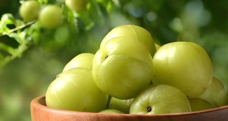 Premium-quality amla sourced from India, rich in vitamin C and antioxidants, ideal for food, herbal, and nutraceutical applications.