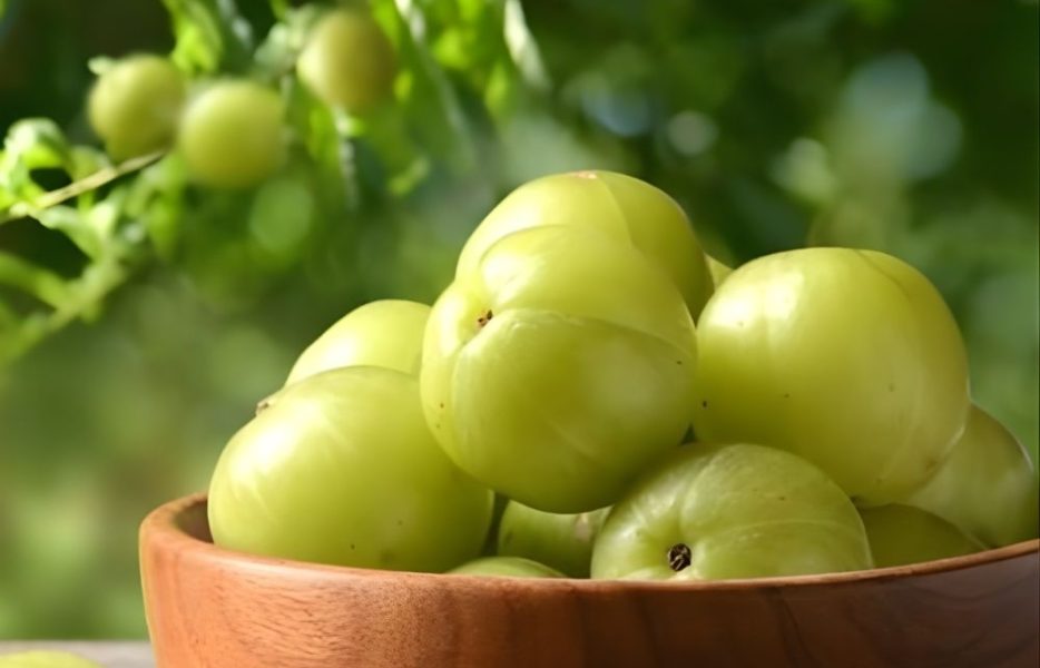 Premium-quality amla sourced from India, rich in vitamin C and antioxidants, ideal for food, herbal, and nutraceutical applications.