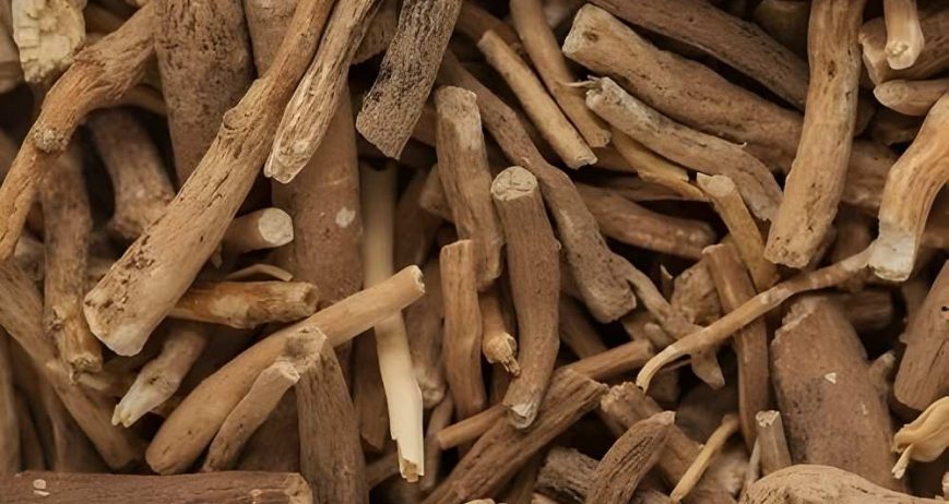 Premium-quality ashwagandha sourced from India, known for its adaptogenic properties and widely used in herbal, nutraceutical, and wellness products.