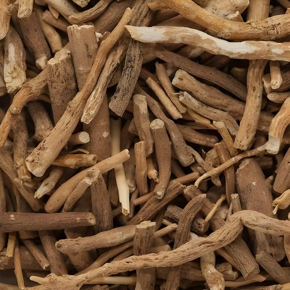 Premium-quality ashwagandha sourced from India, known for its adaptogenic properties and widely used in herbal, nutraceutical, and wellness products.