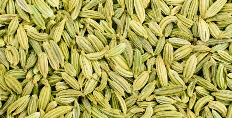 Premium-quality fennel seeds sourced from India, known for their sweet aroma, rich flavor, and high purity for culinary and industrial use.