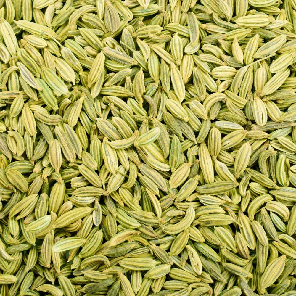 Premium-quality fennel seeds sourced from India, known for their sweet aroma, rich flavor, and high purity for culinary and industrial use.
