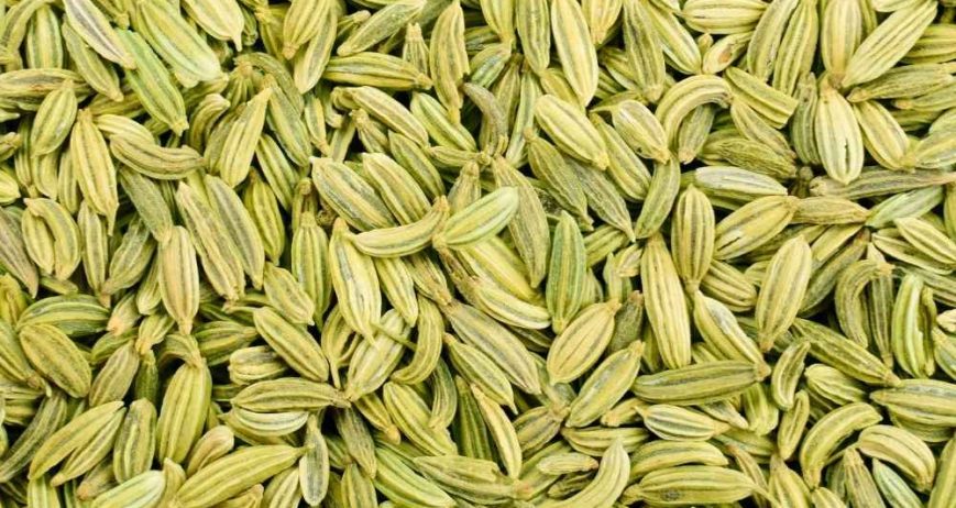 Premium-quality fennel seeds sourced from India, known for their sweet aroma, rich flavor, and high purity for culinary and industrial use.