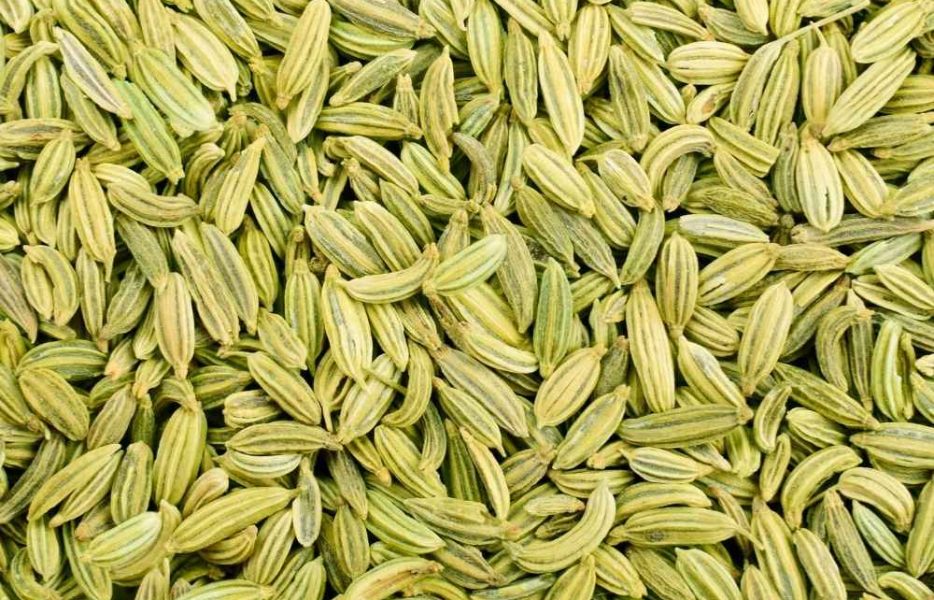 Premium-quality fennel seeds sourced from India, known for their sweet aroma, rich flavor, and high purity for culinary and industrial use.