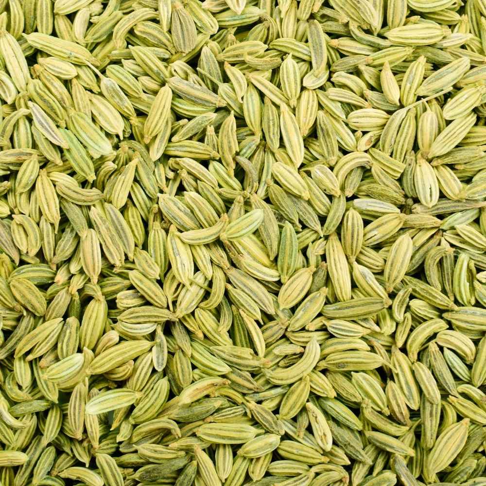 Premium-quality fennel seeds sourced from India, known for their sweet aroma, rich flavor, and high purity for culinary and industrial use.