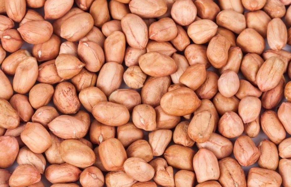High-quality groundnut seeds sourced from India, known for their rich taste, high oil content, and consistent quality for food and processing industries.