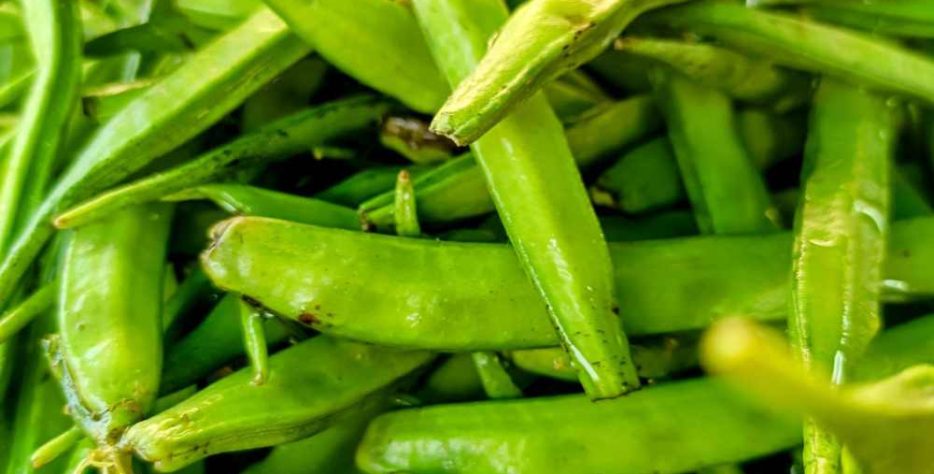 Premium-quality guar gum sourced from India, offering excellent thickening, stabilizing, and binding properties for food, pharmaceutical, and industrial applications.