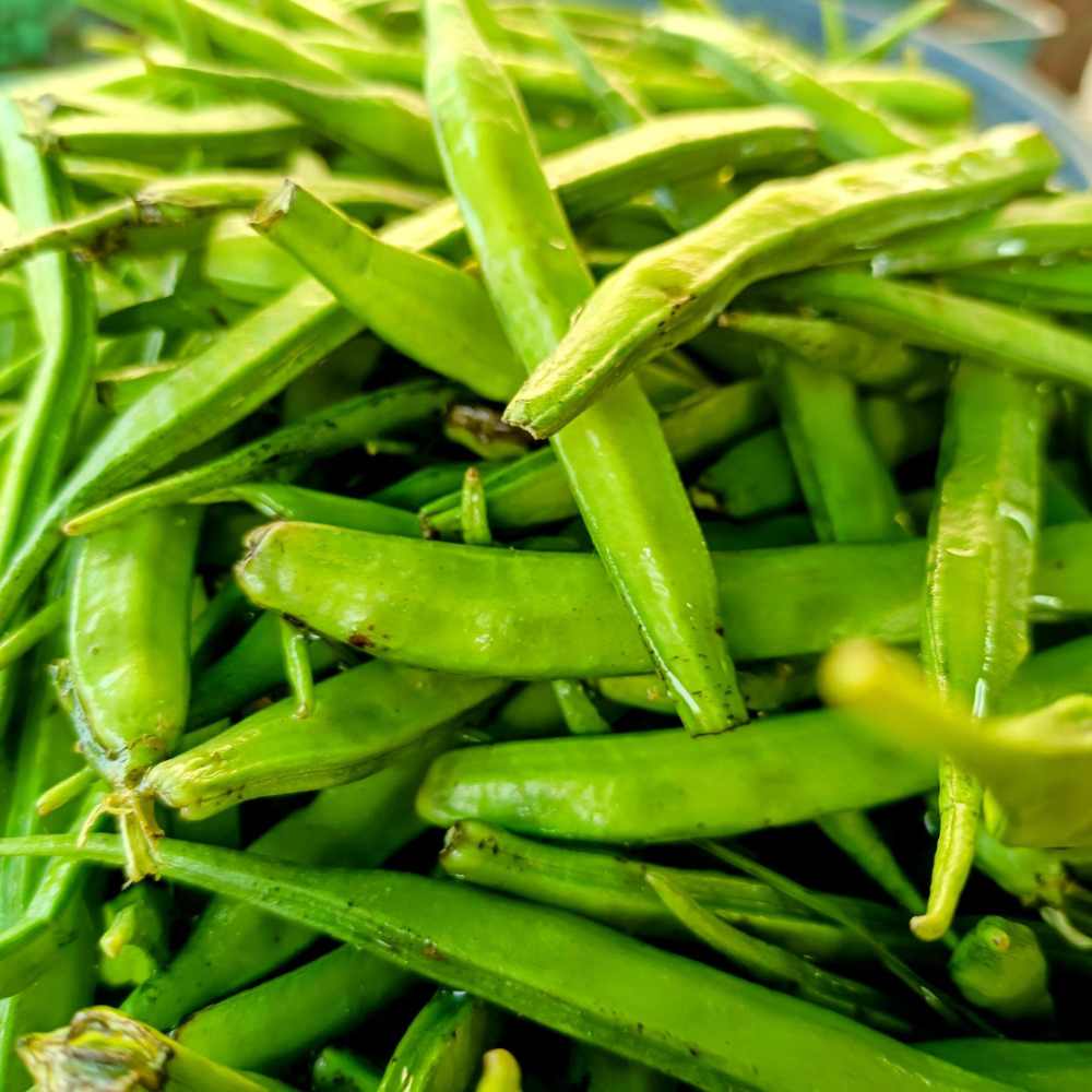 Premium-quality guar gum sourced from India, offering excellent thickening, stabilizing, and binding properties for food, pharmaceutical, and industrial applications.