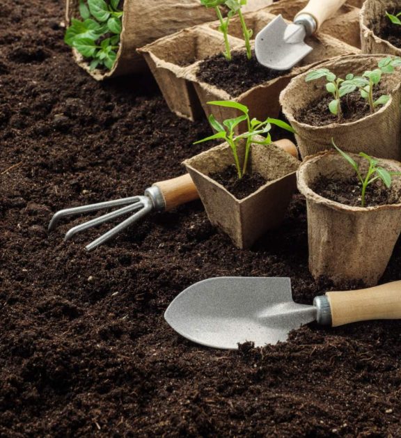 Eco-friendly organic fertilizers made from natural inputs, enhancing soil health, improving crop yield, and supporting sustainable agriculture.