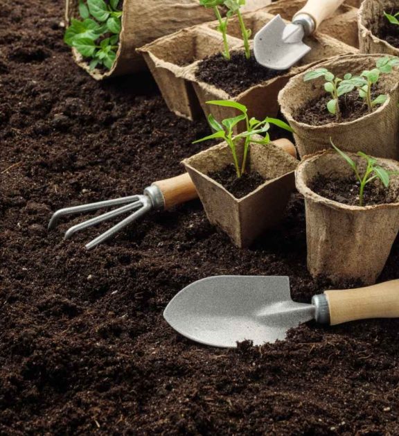 Eco-friendly organic fertilizers made from natural inputs, enhancing soil health, improving crop yield, and supporting sustainable agriculture.