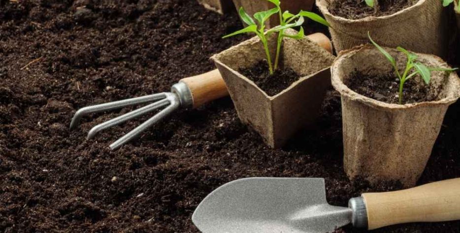 Eco-friendly organic fertilizers made from natural inputs, enhancing soil health, improving crop yield, and supporting sustainable agriculture.